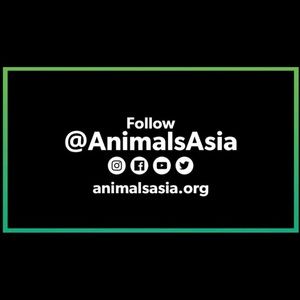 Creation and Critters